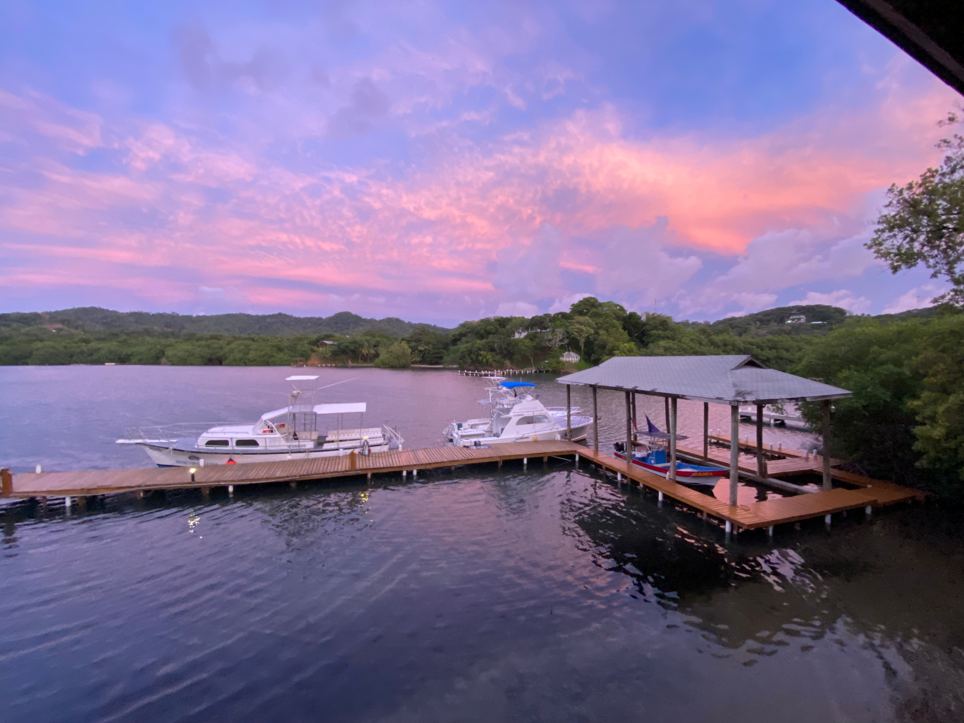 Sunset over our dock and mangroves