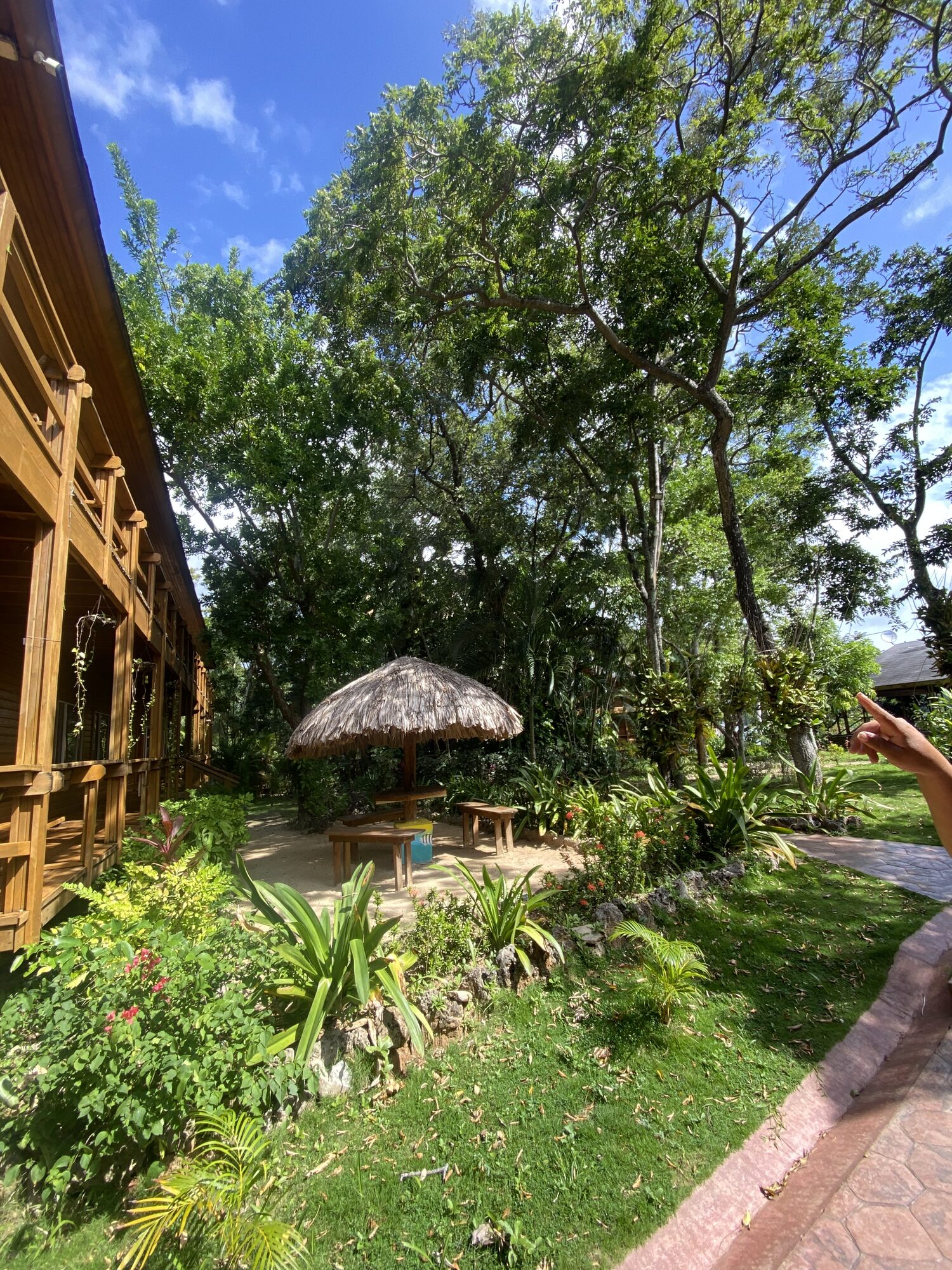Wooden cabins surrounded by tropical garden