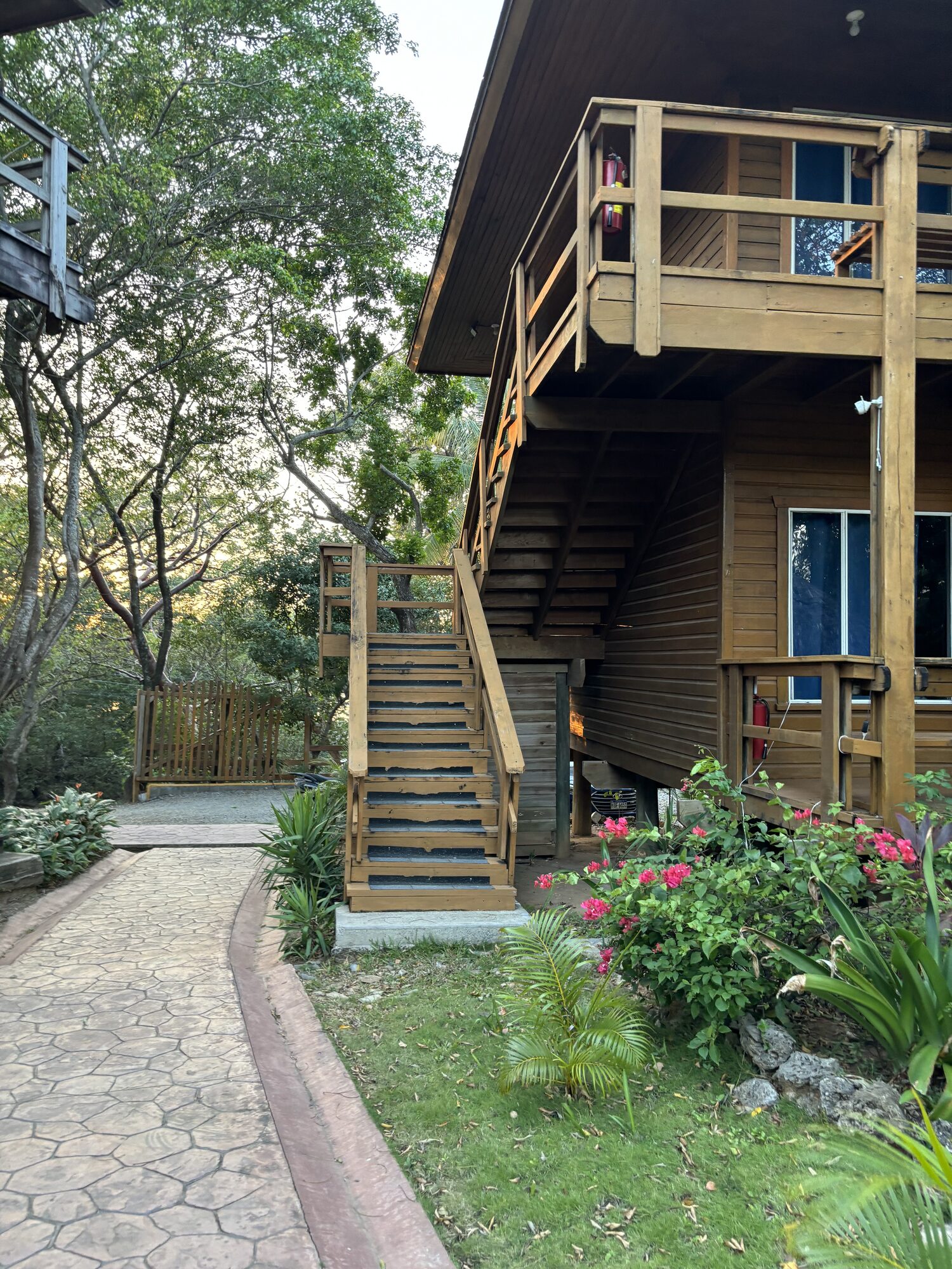 Path leading to the lodge