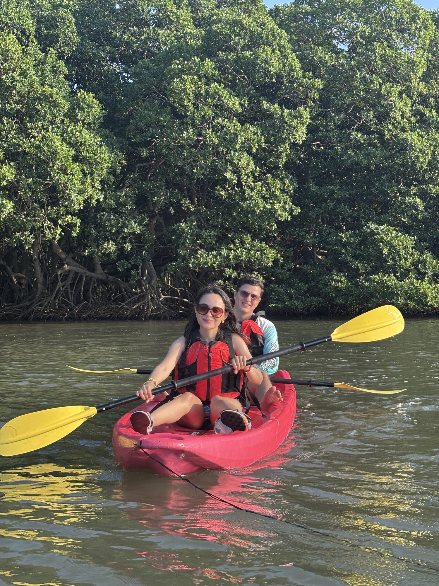 Kayaking through the mangroves