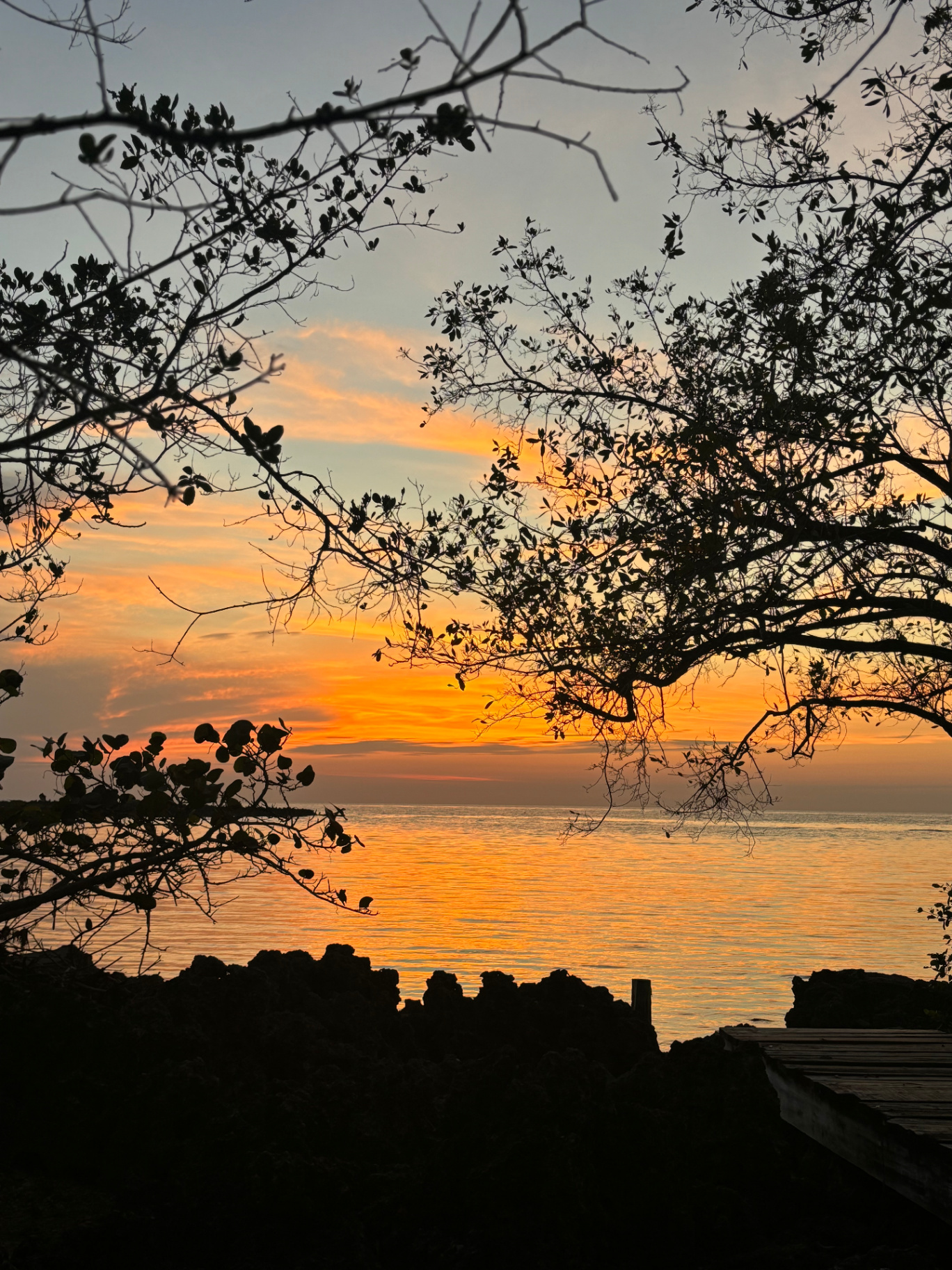 Golden hour from the shoreline